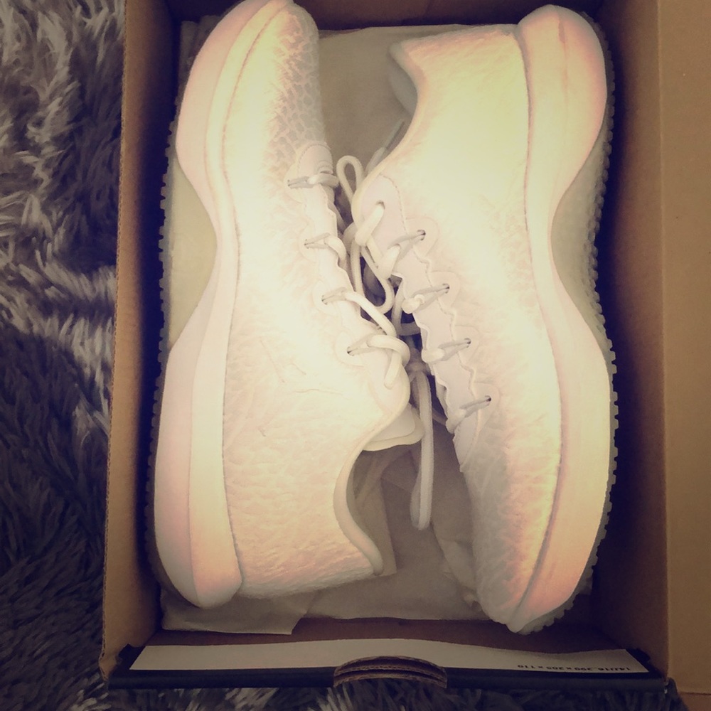 Big Boys Jordan Trainer 1 Low